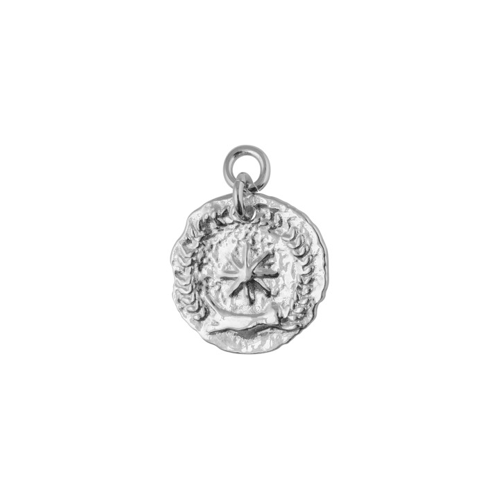 Victory coin pendant Srebro w grupie Naszyjniki / Srebrne naszyjniki w SCANDINAVIAN JEWELRY DESIGN (1923070001)