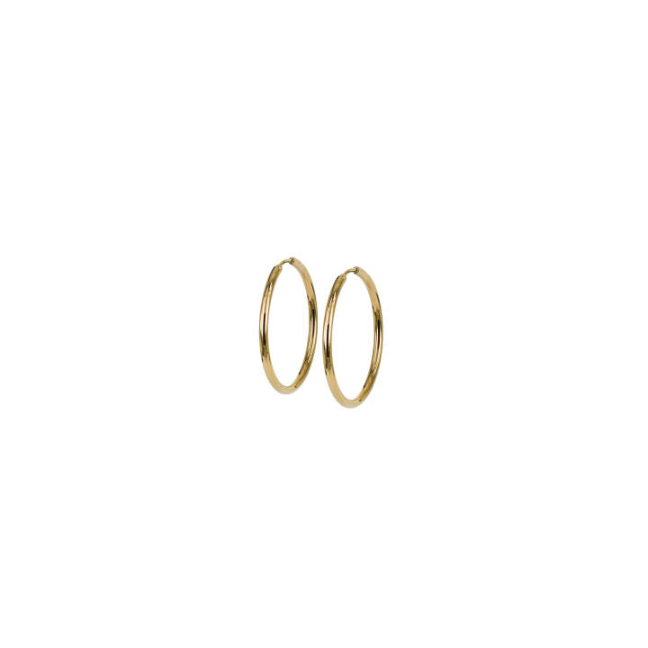 MAXI 11mm Kolczyki Złoto w grupie Kolczyki / Złote kolczyki w SCANDINAVIAN JEWELRY DESIGN (370117)
