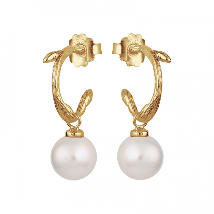 Branch pearl hoops gold w grupie Kolczyki / Kolczyki z perłami w SCANDINAVIAN JEWELRY DESIGN (BAH-E1M200-G)