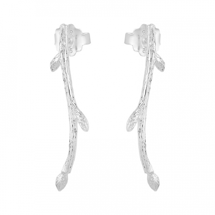 Branch earrings w grupie Kolczyki / Srebrne kolczyki w SCANDINAVIAN JEWELRY DESIGN (BAH-E2M000-S)