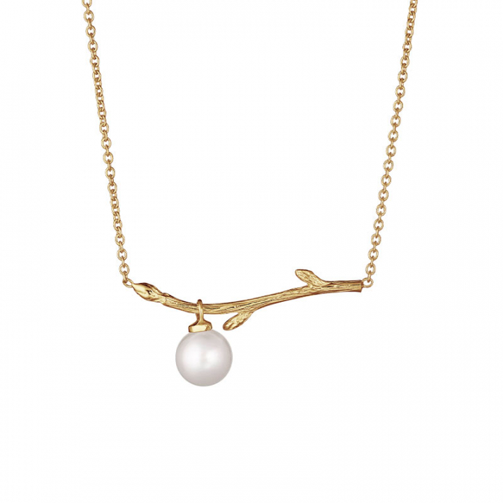 Branch pearl necklace gold w grupie Kolczyki / Złote kolczyki w SCANDINAVIAN JEWELRY DESIGN (BAH-N1M2501-G)