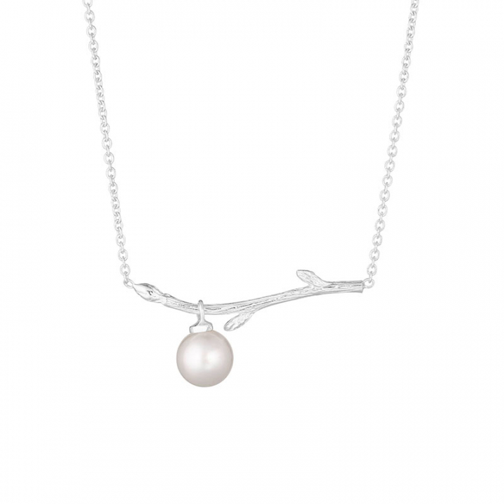 Branch pearl necklace w grupie Naszyjniki / Srebrne naszyjniki w SCANDINAVIAN JEWELRY DESIGN (BAH-N1M2501-S)